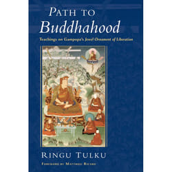 ISBN Path to Buddhahood livre