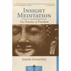 ISBN Insight Meditation, Livre broché, 208 pages