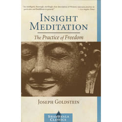 ISBN Insight Meditation livre