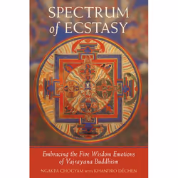 ISBN Spectrum of Ecstasy, Livre broché, 336 pages
