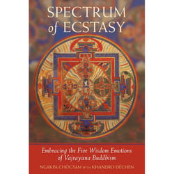 ISBN Spectrum of Ecstasy livre