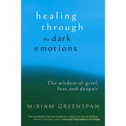 ISBN Healing through the Dark Emotions, Livre broché, 336 pages