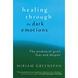ISBN Healing through the Dark Emotions livre