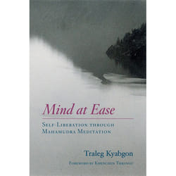 ISBN Mind at Ease livre