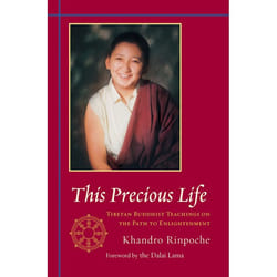 ISBN This Precious Life livre