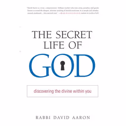 ISBN The Secret Life of God, Livre broché, 208 pages