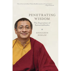 ISBN Penetrating Wisdom livre