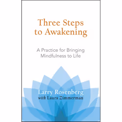 ISBN Three Steps to Awakening, Livre broché, 144 pages