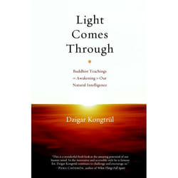 ISBN Light Comes Through livre