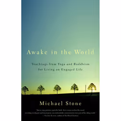 ISBN Awake in the World, Livre broché, 208 pages