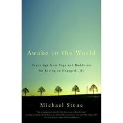 ISBN Awake in the World livre
