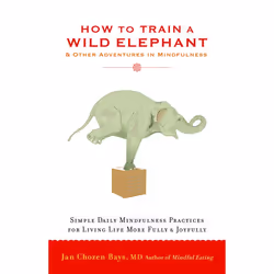 ISBN How to Train a Wild Elephant, Livre broché, 224 pages