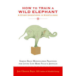 ISBN How to Train a Wild Elephant livre