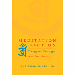 ISBN Meditation in Action, Livre broché, 112 pages