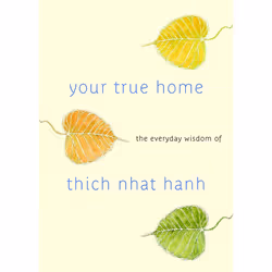 ISBN Your True Home, Livre broché, 400 pages