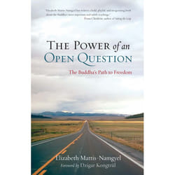 ISBN The Power of an Open Question livre