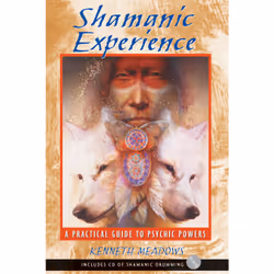 ISBN Shamanic Experience, Anglais, Livre de poche, 208 pages