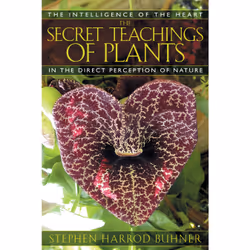 ISBN The Secret Teachings of Plants, Anglais, Livre de poche, 336 pages
