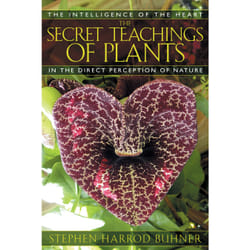 ISBN The Secret Teachings of Plants Livre de poche