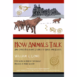 ISBN How Animals Talk, Anglais, Livre de poche, 312 pages