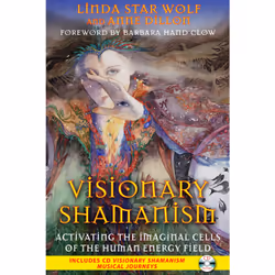 ISBN Visionary Shamanism, Anglais, Livre de poche, 192 pages