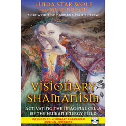 ISBN Visionary Shamanism Livre de poche
