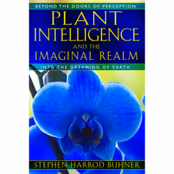 ISBN Plant Intelligence and the Imaginal Realm, Anglais, Livre de poche, 576 pages