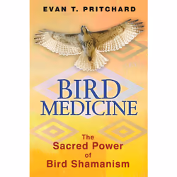 ISBN Bird Medicine, Anglais, Livre de poche, 320 pages