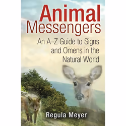 ISBN Animal Messengers, Anglais, Livre de poche, 320 pages