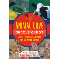 ISBN 9781591434047, Anglais, 128 pages