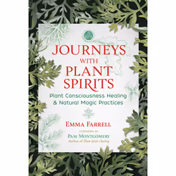 ISBN Journeys with Plant Spirits, Science &amp; nature, Anglais, Livre broché, 288 pages