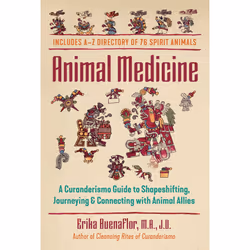 ISBN Animal Medicine, société, Anglais, Livre broché, 216 pages