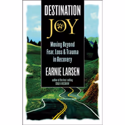 ISBN Destination Joy, Anglais, Livre de poche, 184 pages