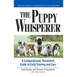 ISBN The Puppy Whisperer, Anglais, Livre de poche, 256 pages