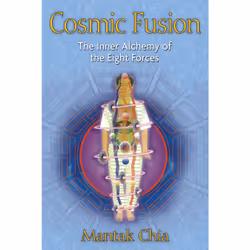 ISBN Cosmic Fusion, Anglais, Livre de poche, 272 pages