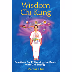 ISBN Wisdom Chi Kung, Anglais, Livre de poche, 160 pages