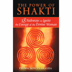 ISBN The Power of Shakti, Anglais, Livre de poche, 256 pages