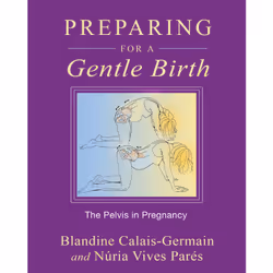 ISBN Preparing for a Gentle Birth, Anglais, Livre de poche, 192 pages
