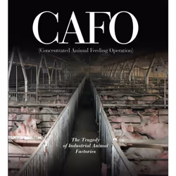 ISBN CAFO, Anglais, Couverture rigide, 384 pages