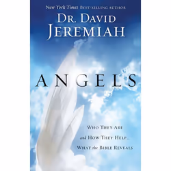 ISBN Angels, Livre broché, 240 pages