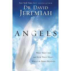 ISBN Angels livre