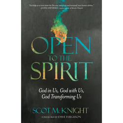 ISBN Open to the Spirit livre