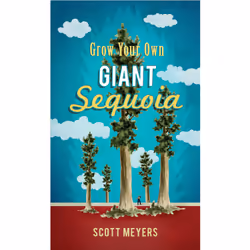 ISBN Grow Your Own Giant Sequoia, Anglais, Livre de poche, 64 pages