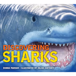 ISBN Discovering Sharks, Anglais, Couverture rigide, 96 pages