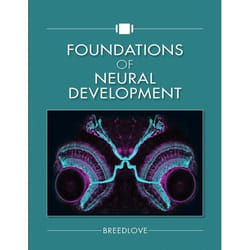Foundations of Neural Development - [Version Originale]