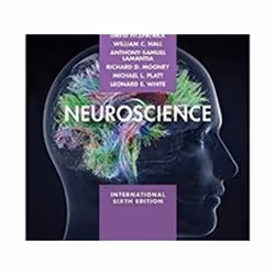 ISBN Neuroscience 6e ISE, Médical, Anglais, Livre broché, 960 pages