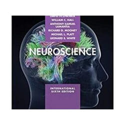 ISBN Neuroscience 6e ISE livre Médical Anglais