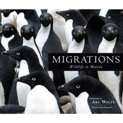 ISBN Migrations Couverture rigide