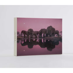 ISBN Into Africa: Blank Boxed Notecards Livre de poche