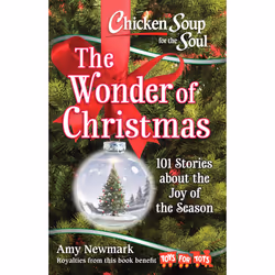 ISBN Chicken Soup for the Soul: The Wonder of Christmas, Education, Anglais, Livre broché, 384 pages